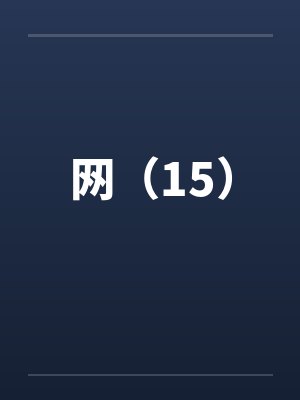 网（15）